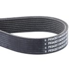 Correa F934201040020