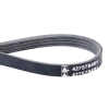 Correa 4275784M1