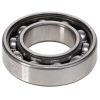 COJINETE BOLAS AGCO Parts 1124697