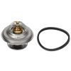 Termostato F743202050010