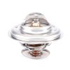 Termostato 83G D66 ALT55 para Tractores ACW2170430