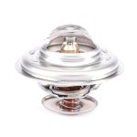 Termostato 83G D66 ALT55 para Tractores ACW2170430