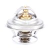 Termostato F119200050040