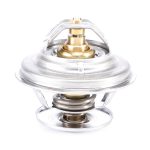 Termostato F119200050040