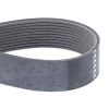 Correa V F954200040010