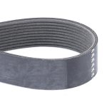 Correa V F954200040010