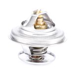 Termostato F119202050030