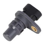 Sensor H438810300100