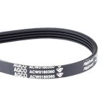 Correa para tractor ACW0180360
