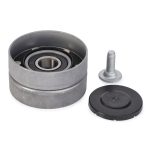 Cojinete Rodillo Tensor F836200040230