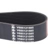 Correa para tractor V685121585