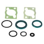 Kit de Precintos Vál Freno Motor F931952030010
