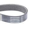 Correa del motor 1800 NTS F404200040020