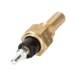 Sensor de Temperatura H716900020060