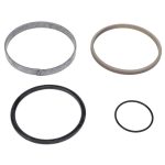 Kit de Precintos F416860030060