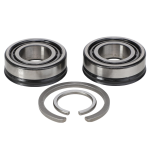 Cojinete Massey Ferguson AGCO Parts 700710419