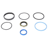 Kit de Precintos para Massey Ferguson AGCO Parts 700729238