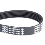 Correa en V ACV0175620
