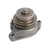 Bomba de agua 748095R91 Massey Ferguson