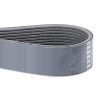 Correa de Motor F946201040010