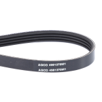 Correa para Tractor 4351270M1