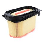 Filtro de Aire Motor Externo H737200092100
