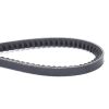 Correa para Tractor X696616800000