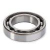 Cojinete 6009/C3 X605505811000