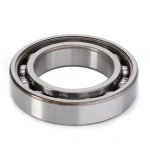 Cojinete 6009/C3 X605505811000