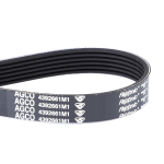 Correa ND 4392661M1