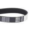 Correa ACW0152360