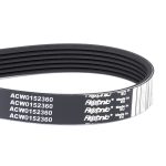 Correa ACW0152360