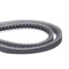 Juego de Correas 3619356M91