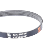 Correa 1150 3C 4273269M1