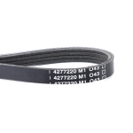 Correas 4277220M1