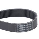 Correa Motor 172 F716200040020