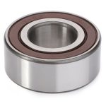 Rodamiento Angular F836200040210