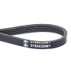 Correa 3789028M1