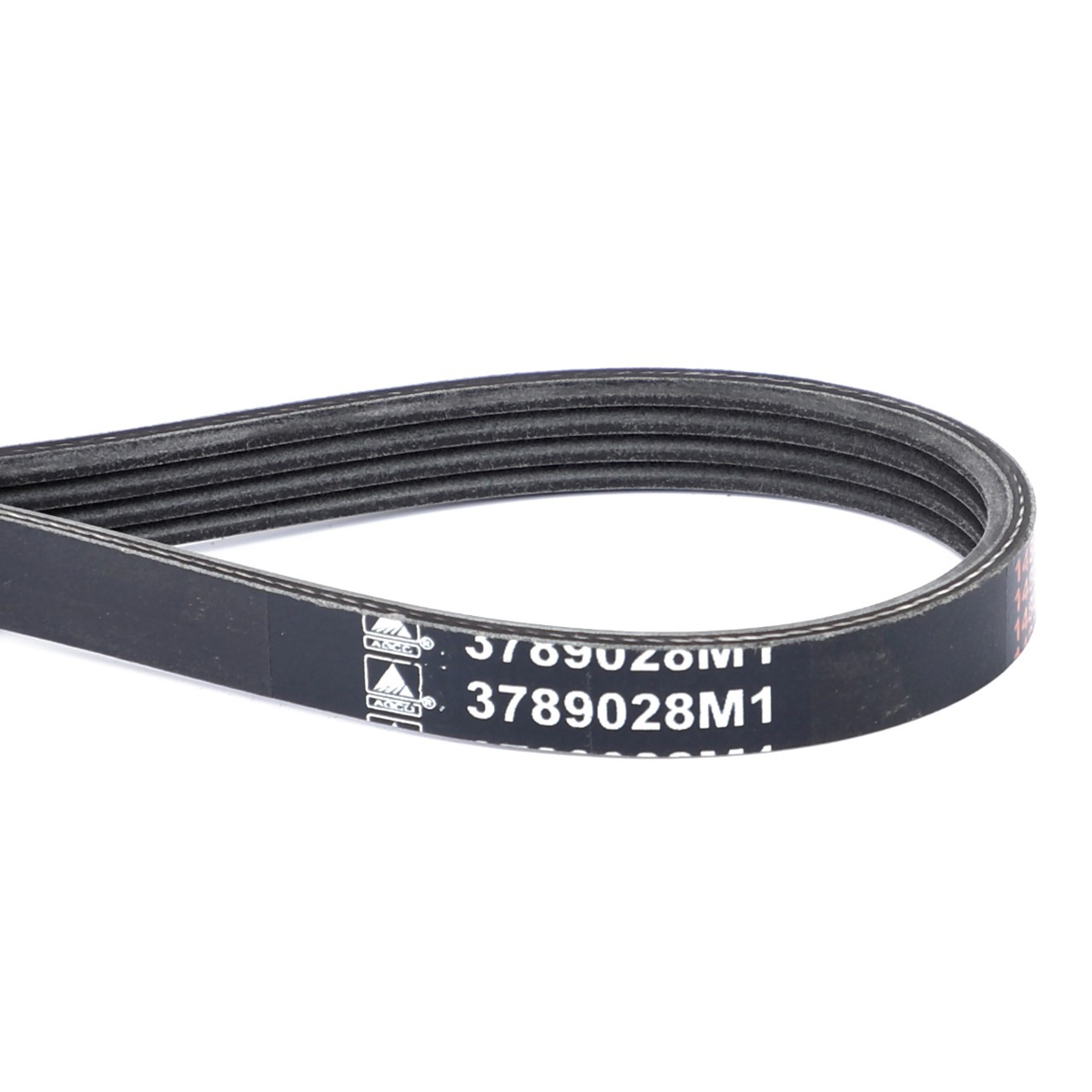 Correa 3789028M1