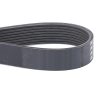 Correa F836200040020
