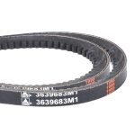 Juego de Correas , Sustitución del Artículo 33895 3639683M1