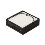 Filtro Protector Bomba Inyectora F916200060100