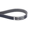 Correa 3787792M1
