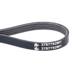 Correa 3787792M1