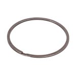 Anillo Laminar F934201100020